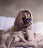 漯河有这样的手机号码，留不住钱，你中枪了吗？