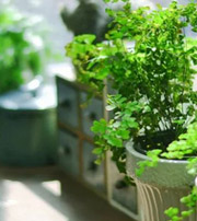 漯河专属于你的开运指南，助你鸿运当头福满身！