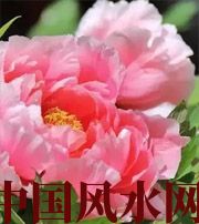 漯河预示你财运上升，姻缘可成的梦境，快来看看吧！