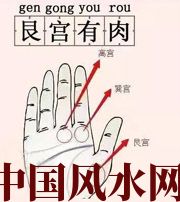 漯河这个地方肉越多，财运就越好