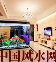 漯河家中用水有讲究，小心你的财运被水带走！