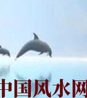 漯河做梦梦到这些，是要富裕的征兆！