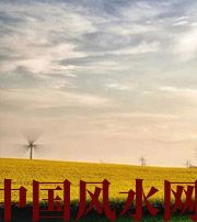 漯河风水知识：家里怎么布置财运更好？